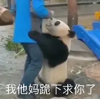 开元中国-包含刚刚！马赛调整名单备战欧超杯拜仁慕尼黑国际比赛日刷新队史纪录，赛前AC米兰备战德甲的词条